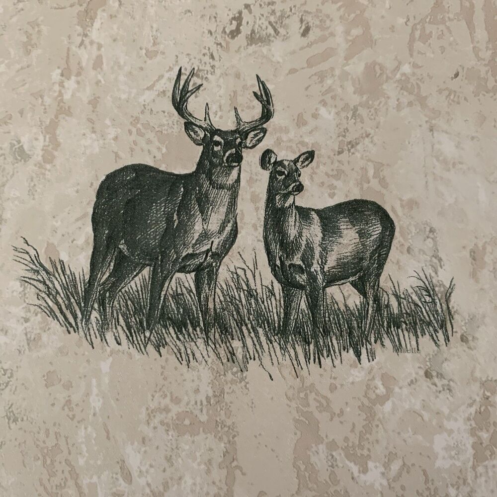 Wallpaper Pre-pasted Vinyl Deer, Doe, Buck, Fawn, Chucker, Ducks  56 Sq. ft.